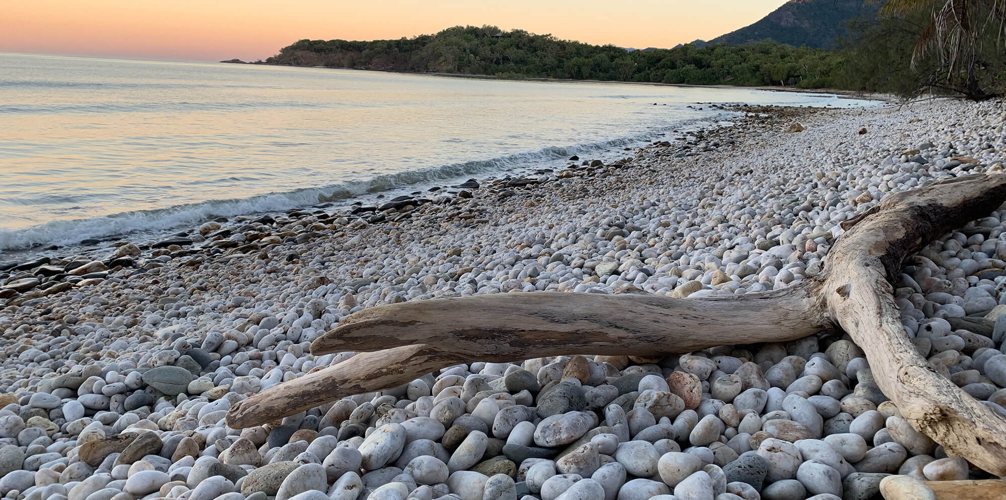 Scattered driftwood on the beach inspires a weathered beach style bathroom