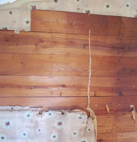 Old historic shiplap revealed when opening up the wall during a renovation.
