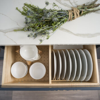 A great kitchen storage idea for dishware. A Drawer Plate Rack and Dish Rack Storage Drawer.