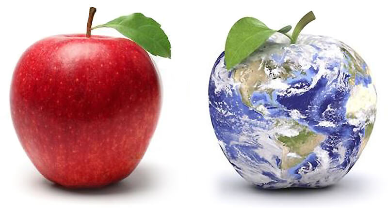 A typical red apple sitting next to an apple that looks like earth.