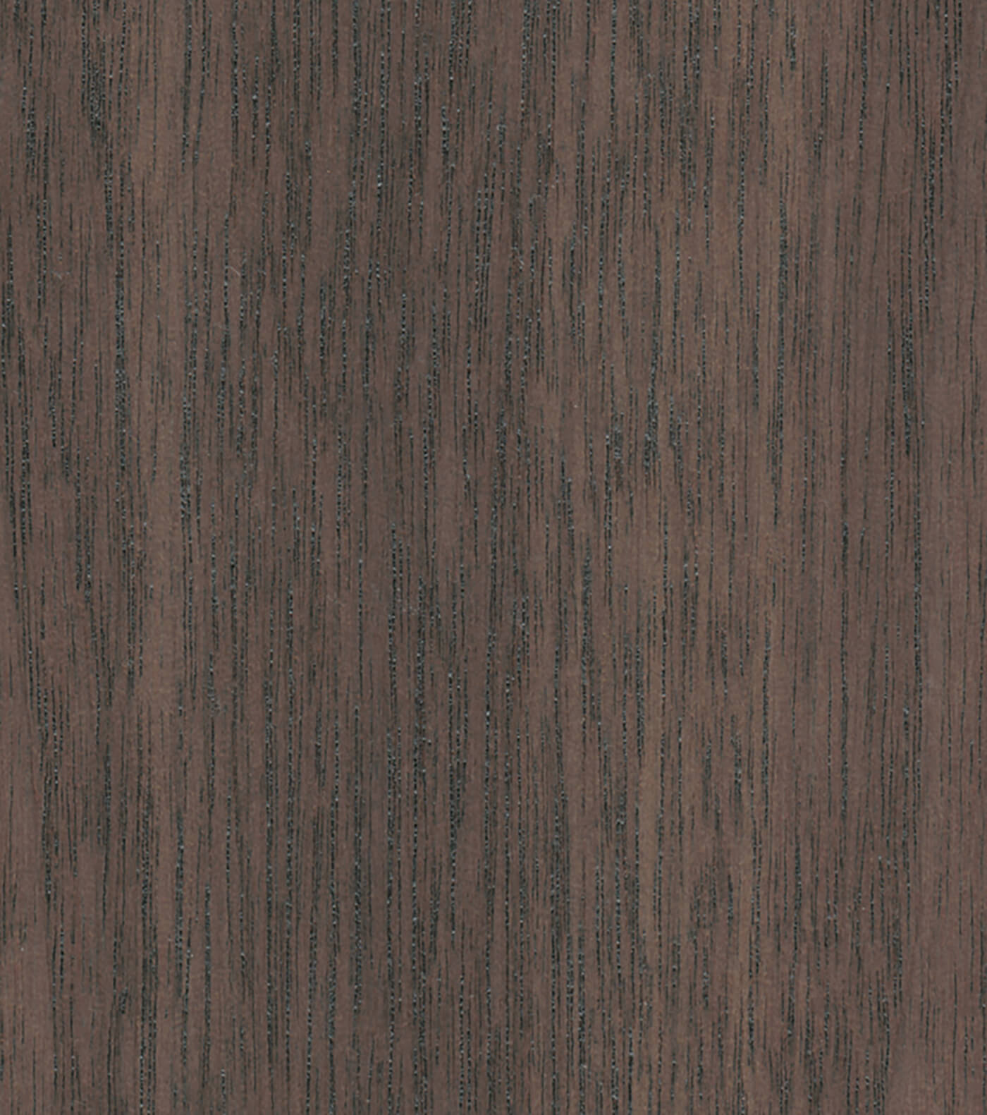 Morel - Walnut Exotic Veneer