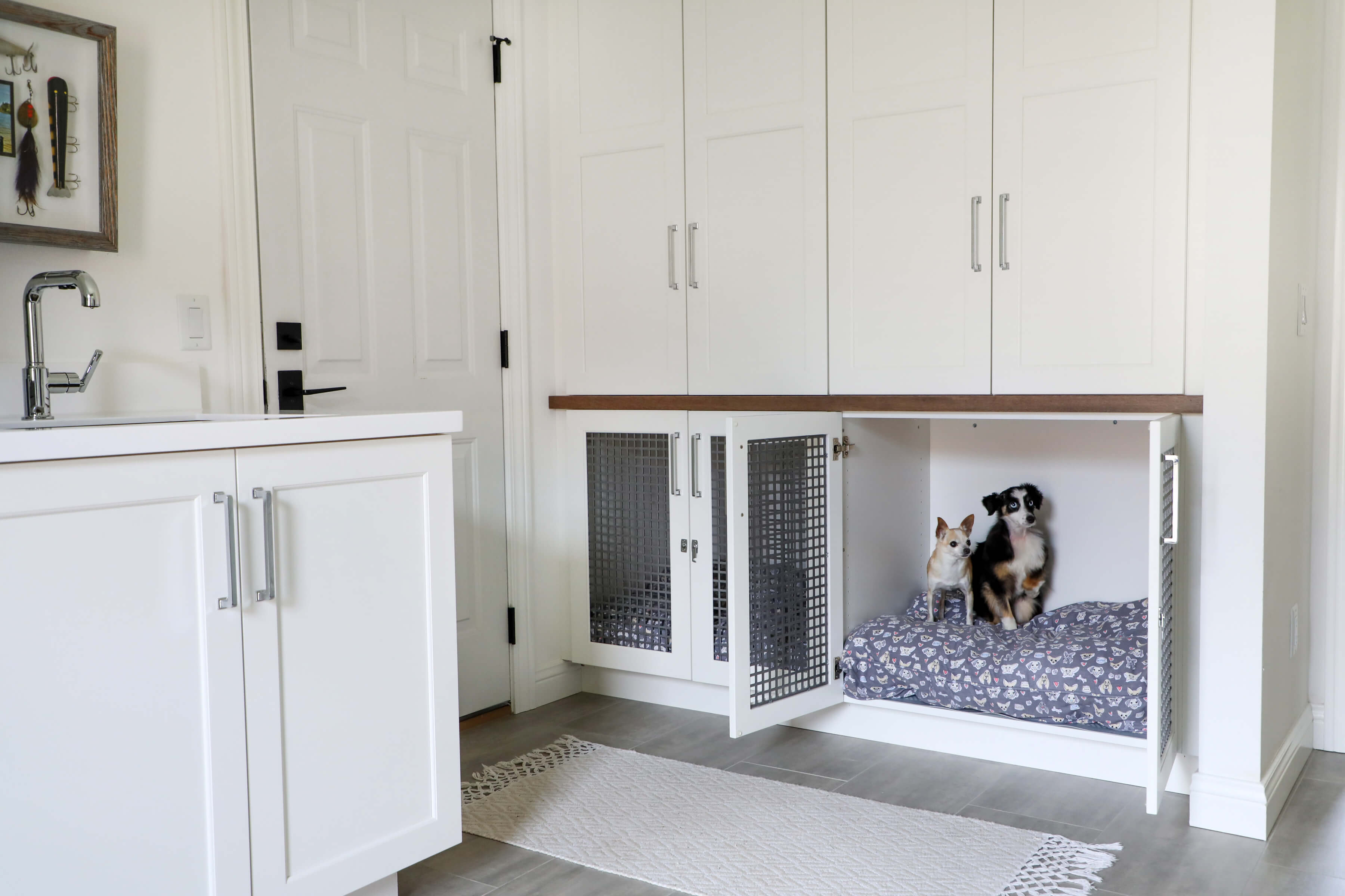 A laundry room with cabinets designed for dog beds with kennel like doors featuring a metal wire mesh cabinet insert.