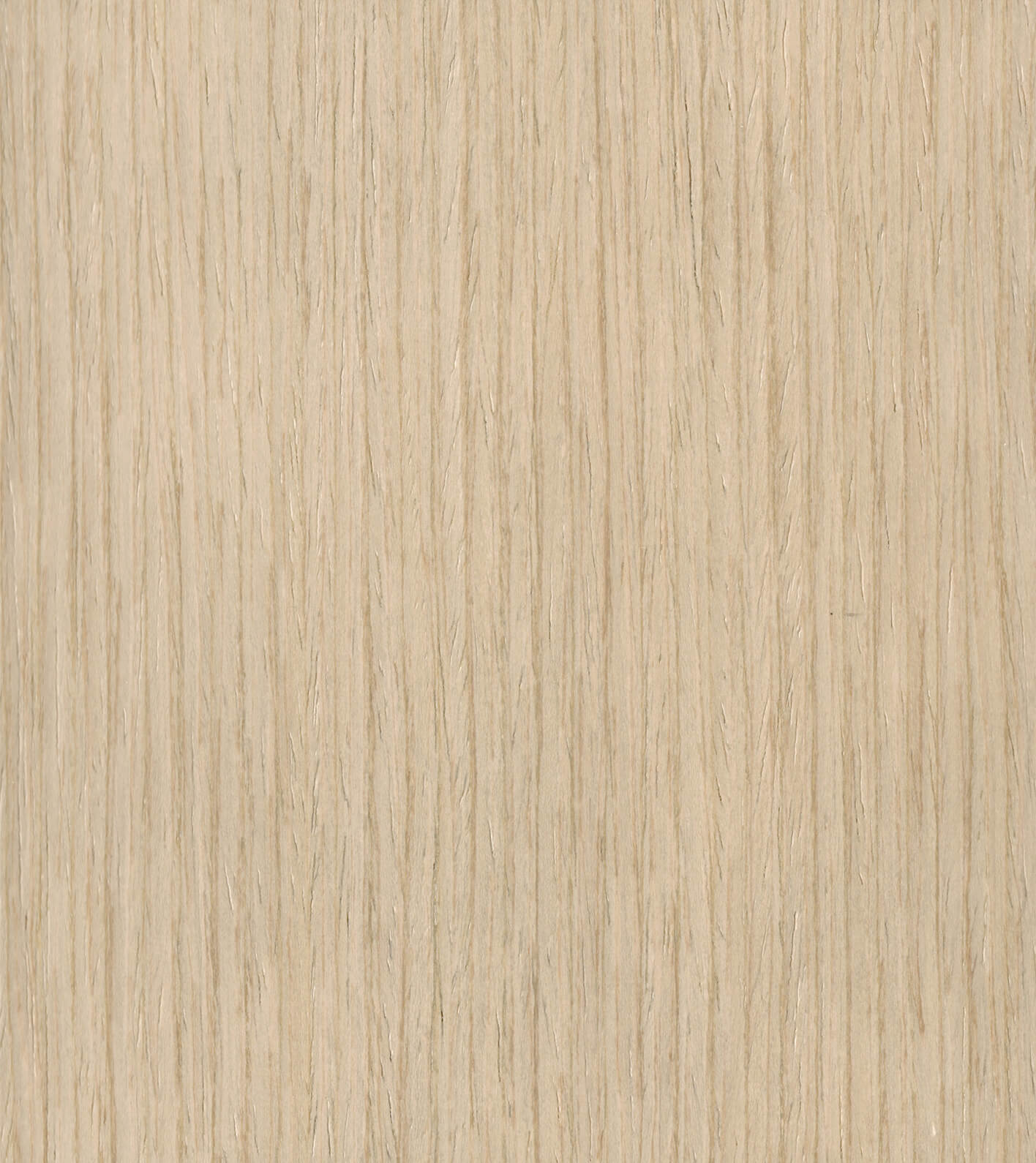 Coriander Stain on Straight Grain Oak Exotic Veneer