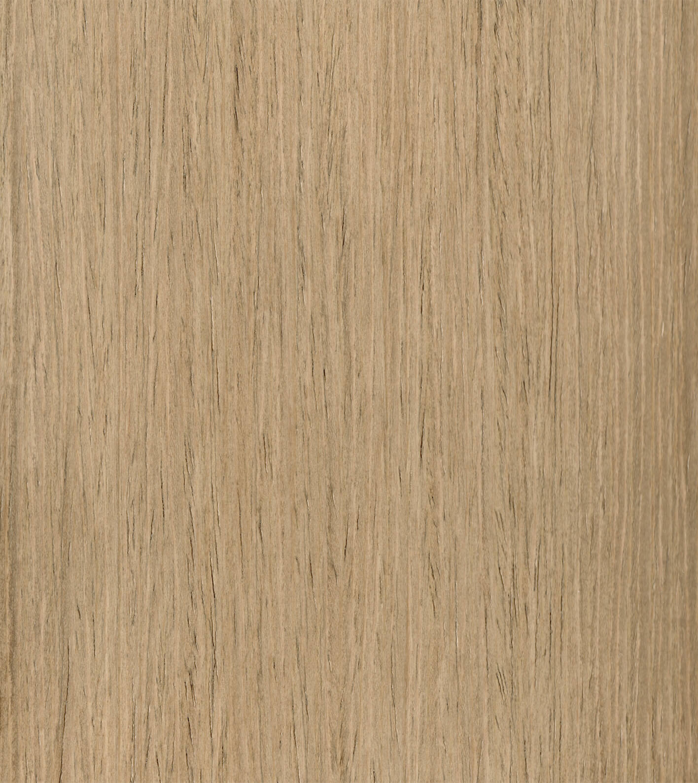 Sesame Stain on Straight Grain Oak Exotic Veneer