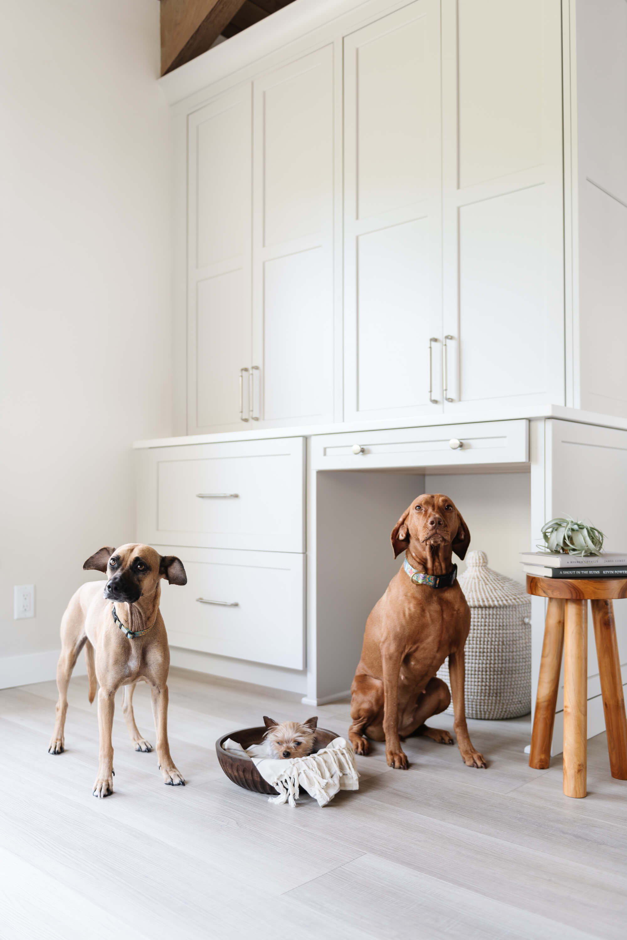 5 Design Must-Haves for Any Laundry Room - Dura Supreme Cabinetry