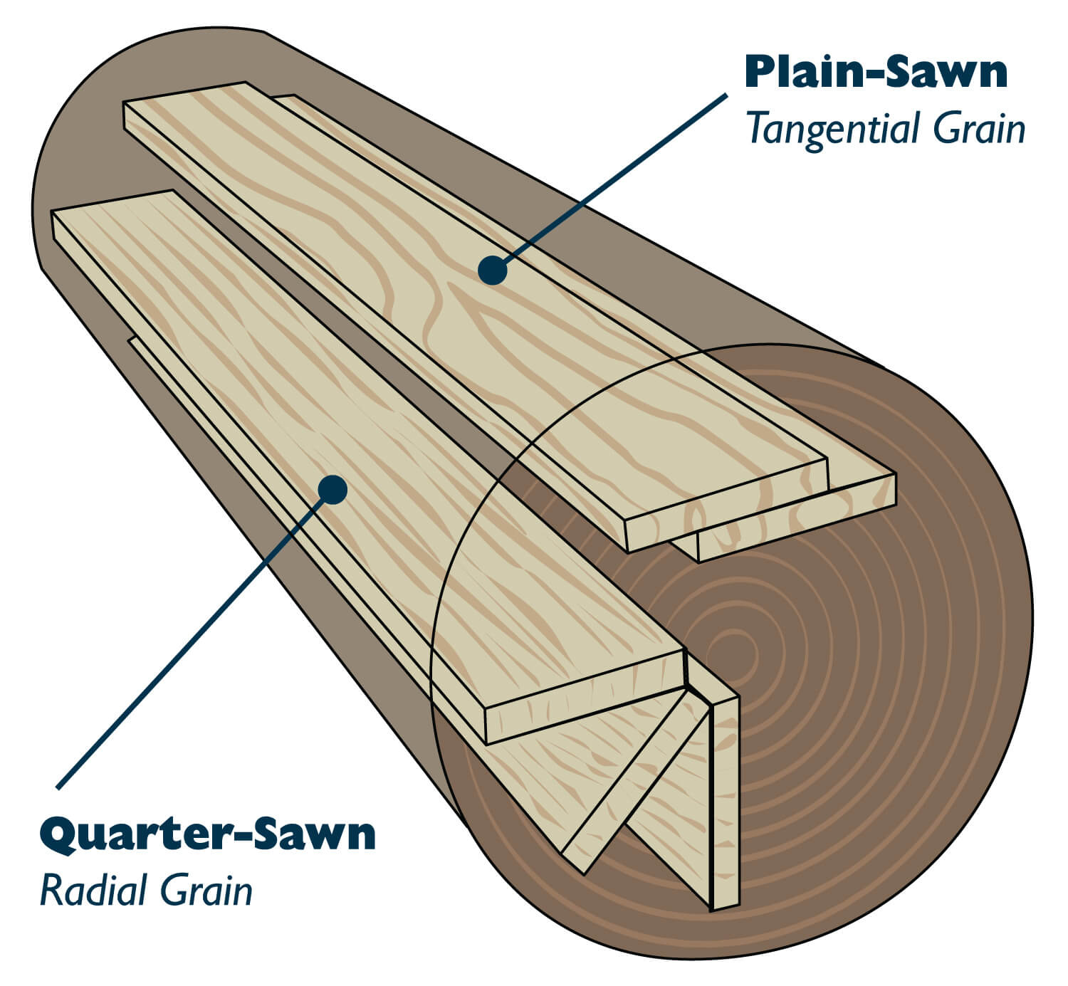 The difference between Quarter-Sawn Oak and Plain Sawn Oak showing a log and where the cuts are made to create the unique grain patterns.