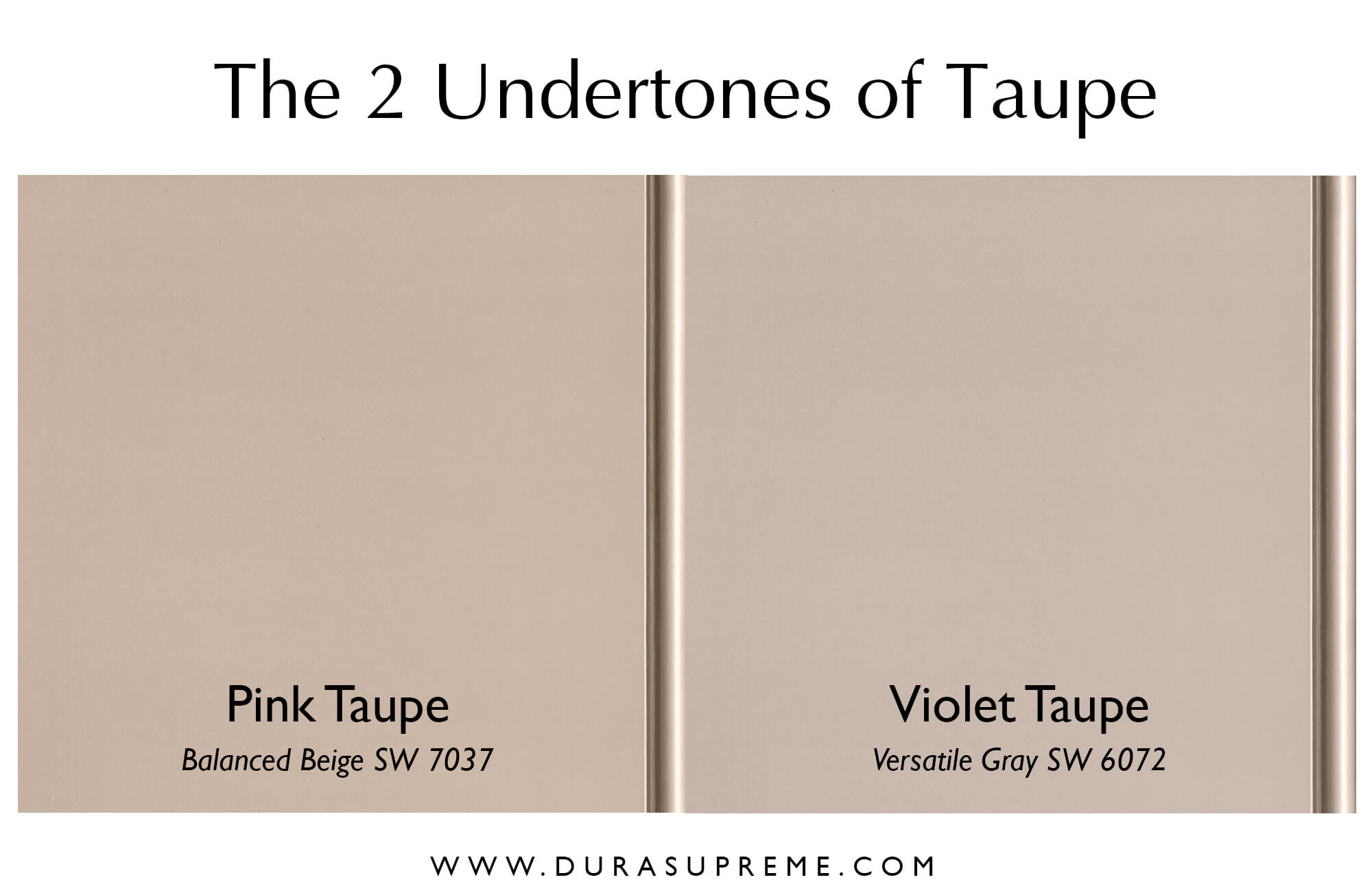 The 2 primary Undertones of the color Taupe, pink-taupe and violet-taupe. Featuring Balanced Beige SW7037 and Versatile Gray SW6072 by Sherwin-Williams.