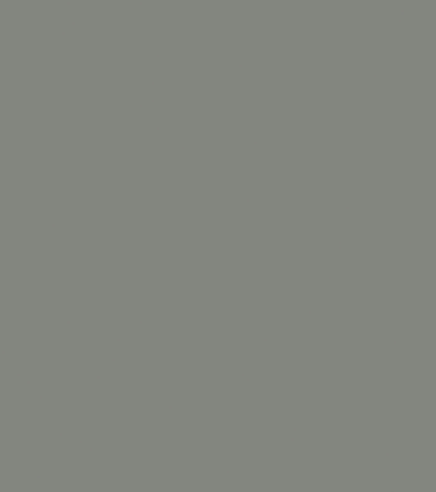 Seal Grey Matte TFL