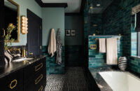 Black , teal, and gold moodiy bathroom desgin with a micro skinny shaker door style.