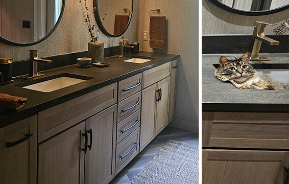 Cat approved bathroom remodel.